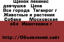 Щенок пекинес девчушка › Цена ­ 2 500 - Все города, Таганрог г. Животные и растения » Собаки   . Московская обл.,Ивантеевка г.